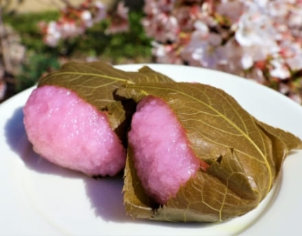 桜餅（お茶付き）