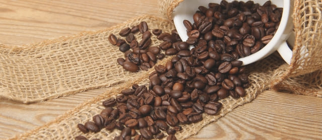 メニュー 飲み物